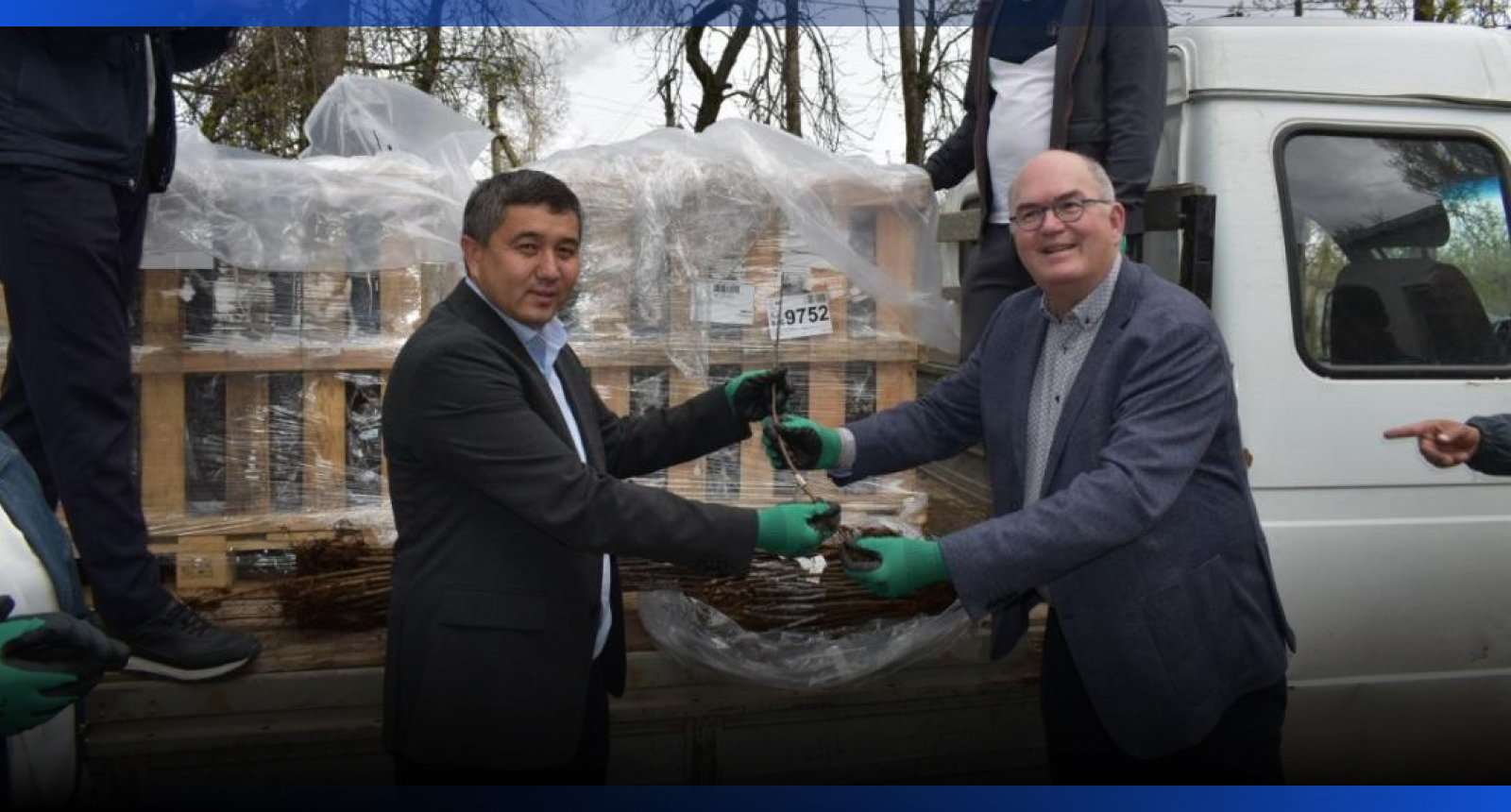 Image for В Казахстан завезли 7 тысяч подвоев яблони из Нидерландов